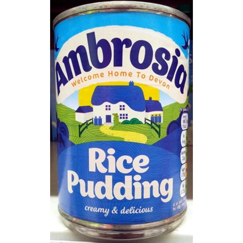 Rice Pudding — Ambrosia